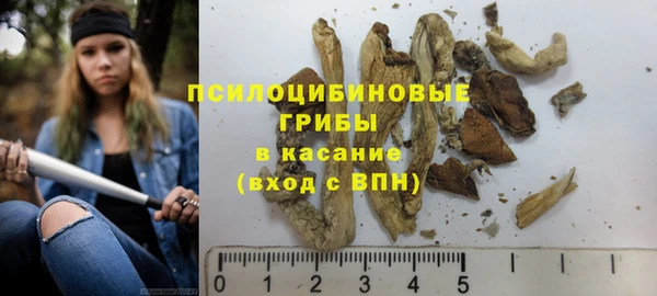 дмт Горняк