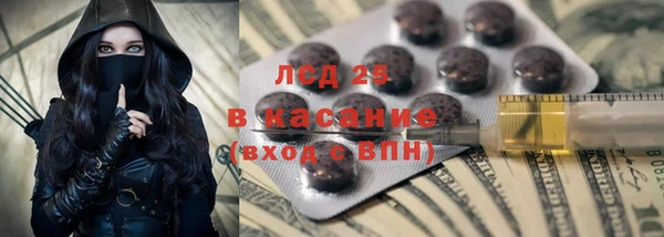 PSILOCYBIN Горно-Алтайск