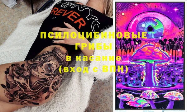 PSILOCYBIN Горно-Алтайск