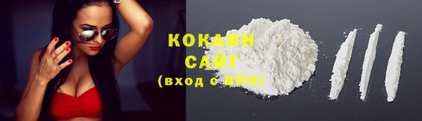 дмт Горняк