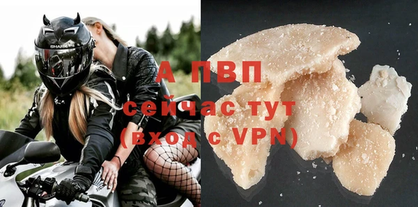 PSILOCYBIN Горно-Алтайск