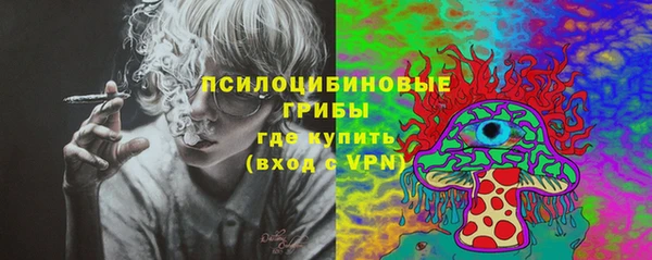 амф Горнозаводск