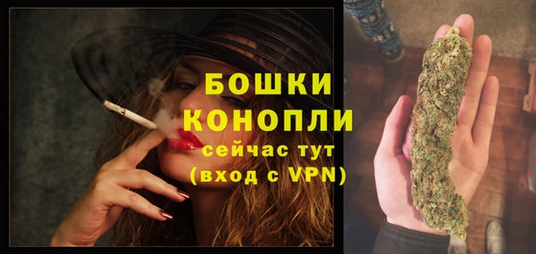PSILOCYBIN Горно-Алтайск
