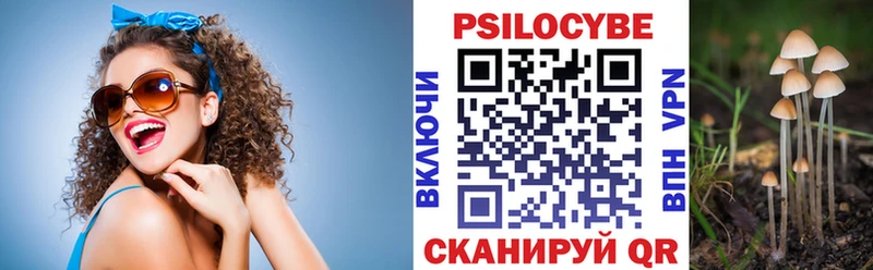 Галлюциногенные грибы мицелий  Купить где  Ладушкин 